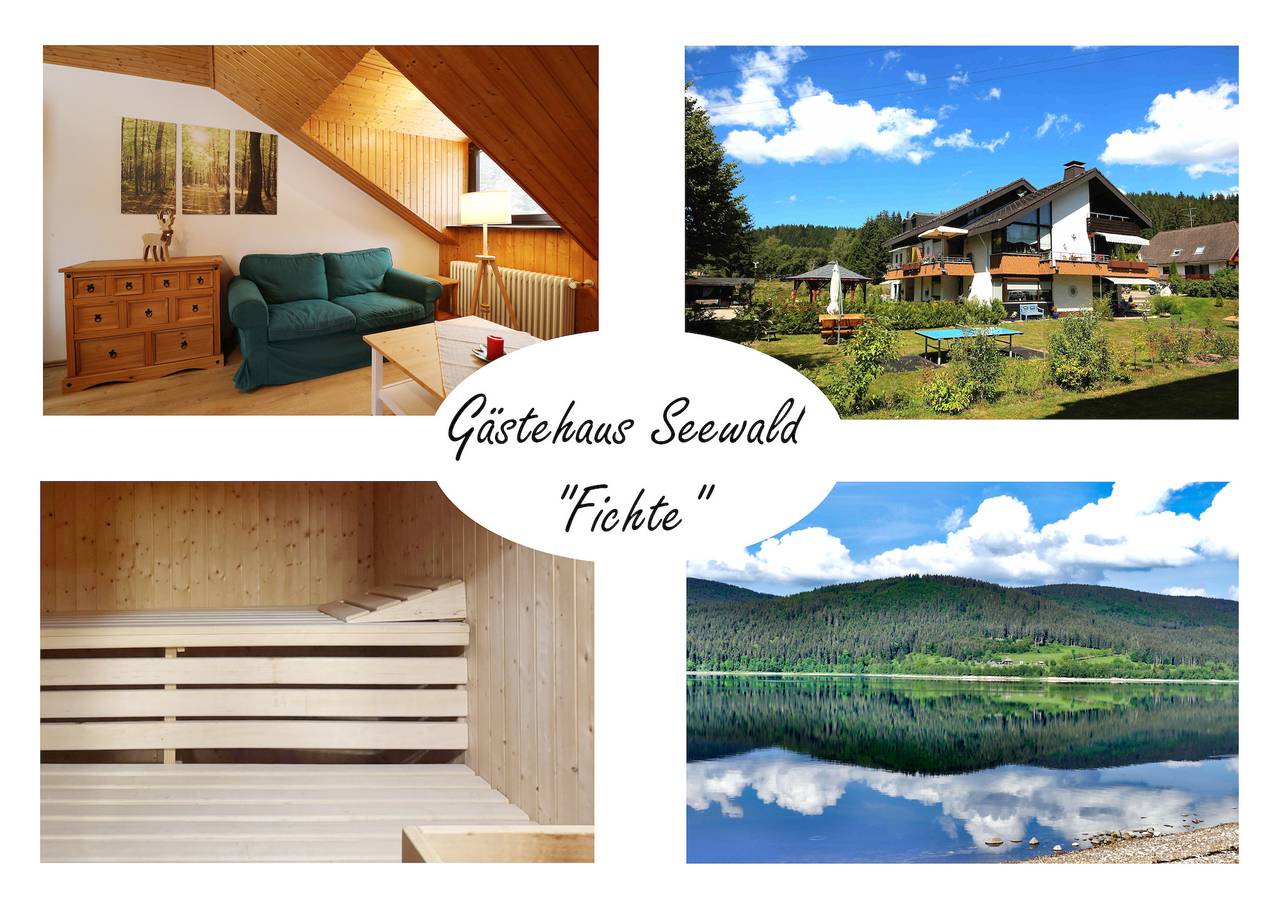 Ganze Ferienwohnung, Gästehaus Seewald- Ferienwohnung 6 "Fichte", Schluchsee, Blasiwald in Blasiwald (Schluchsee), Schluchsee