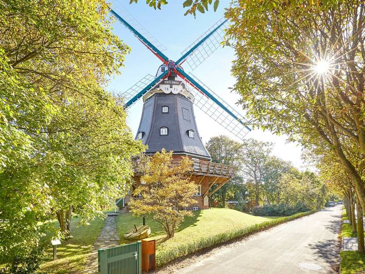 Ferienhaus für 6 Personen, mit Terrasse und Sauna sowie Garten, mit Haustier - 1