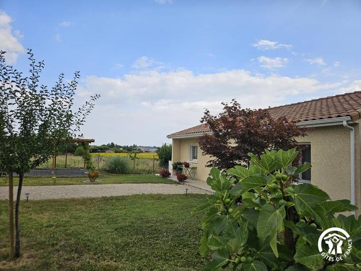 Gîte pour 4 personnes, avec piscine et terrasse, animaux acceptés à Gaillac - 4