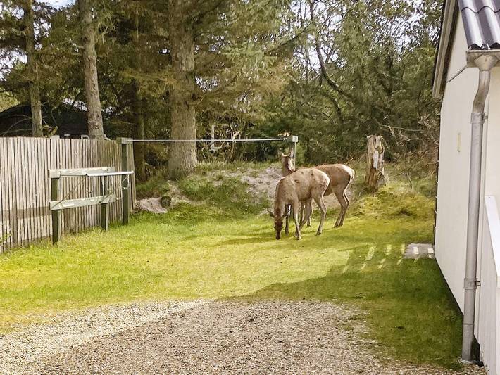 Ferienhaus für 2 Personen, mit Terrasse in Vejers Strand - 3
