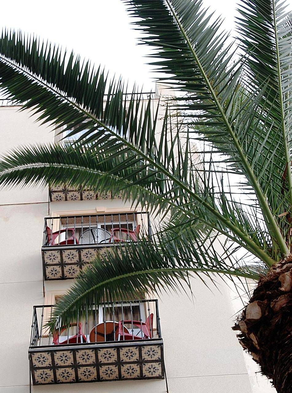 Hotel Queens - Adults Only in Benidorm, Costa Blanca