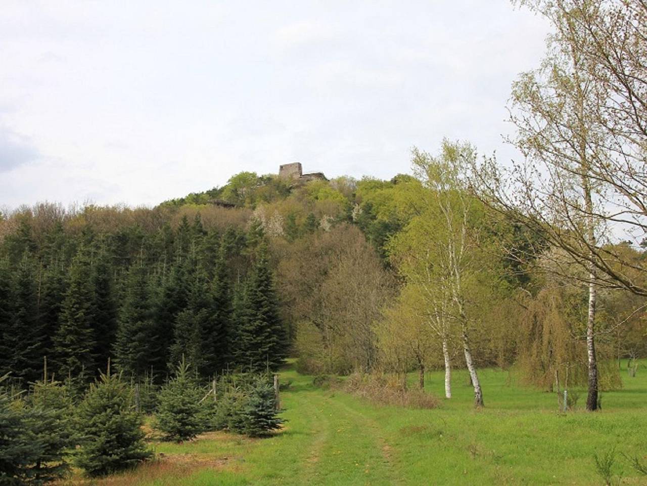 Ganze Ferienwohnung, Ferienwohnung Bambauer - Appartement/Fewo, Dusche, Wc, ruhig in Vorderweidenthal, Südliche Weinstraße
