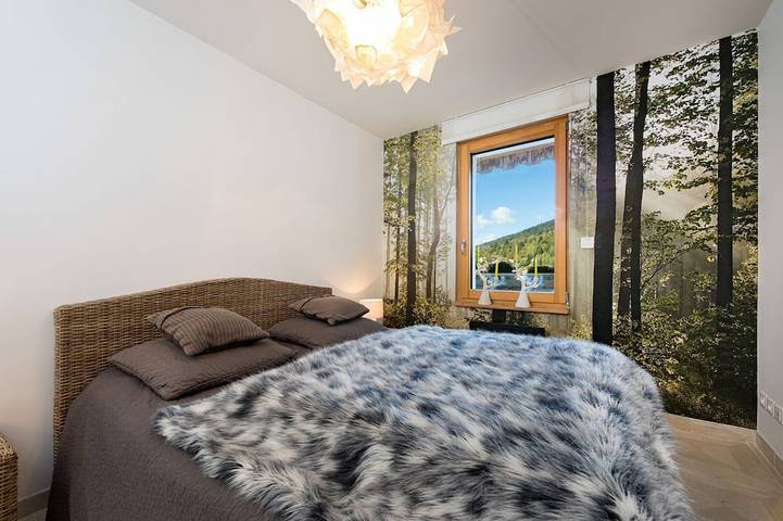Appartement entier, Gite \"Flocon de neige\" - 2 chambres, piscine intérieure, sauna, fitness (4 pers) in Ventron, Parc naturel régional des Ballons des Vosges