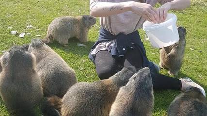 Ferienhaus für 10 Personen in Michaelerberg-Pruggern, Schladming-Dachstein, Bild 4
