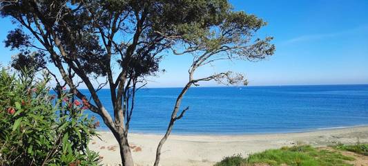 Gîte pour 6 personnes, avec vue et balcon ainsi que piscine et jardin à Linguizzetta