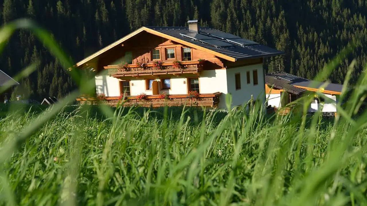 Ganze Ferienwohnung, Ferienwohnung für 4 Personen (55 m²) in St. Jakob in Defereggen in Villgratner Berge, Sankt Jakob in Defereggen