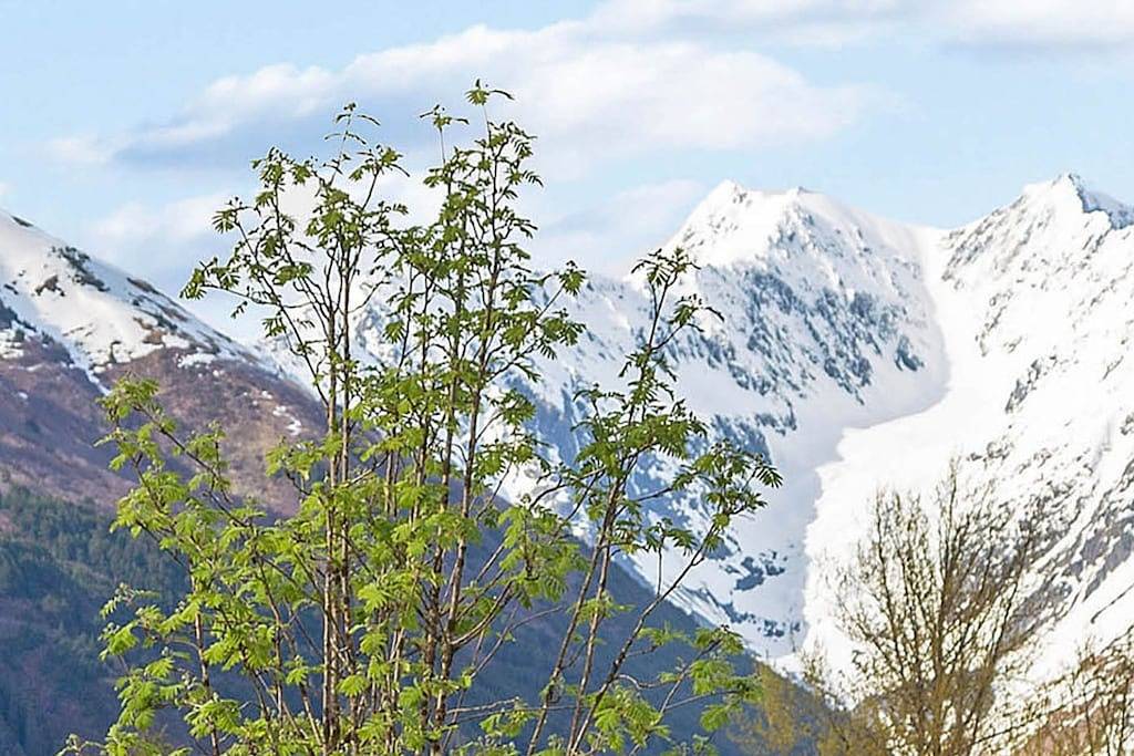 Ganze Wohnung, Neue Auflistung! Voll ausgestattete Wohnung bietet eine großartige Lage in der Nähe von Skifahren und vieles mehr in Girdwood, Anchorage