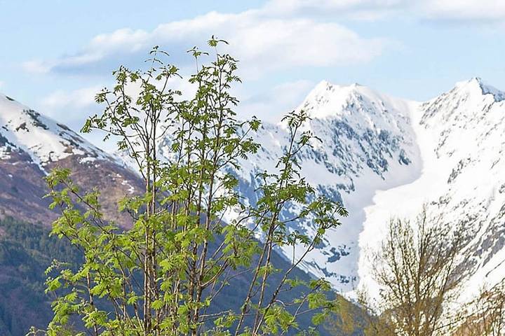 Ferienwohnung für 7 Personen, mit Balkon - 1