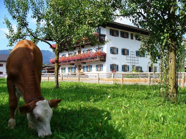 Beim Lenz - Doppelzimmer Nr. 2 mit Garten- und Bergblick, 12 qm, Du/Wc in Schleching, Bayerische Alpen