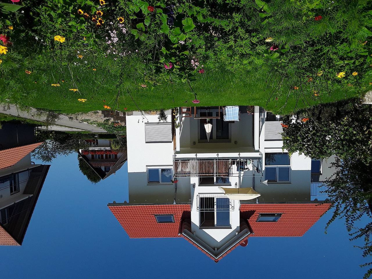 Ganze Ferienwohnung, Ferienwohnung Angela - A. Fickenscher u. D. Barth - 2-Zimmer-Fewo, Erdgeschoss, 50 m² in Reichenau, Untersee