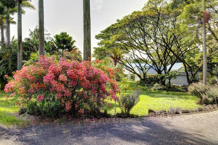 Cottage for 3 people, with terrace and garden in Hawaii