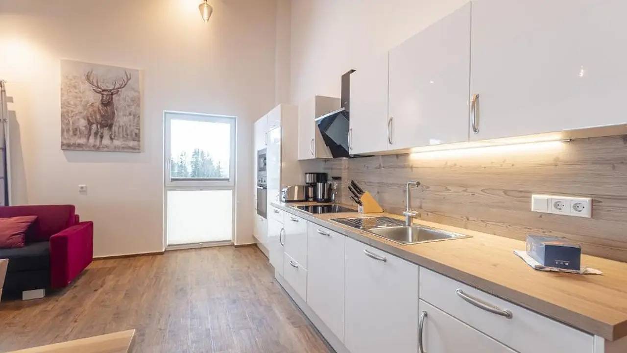 Ganze Ferienwohnung, Ferienwohnung für 6 Personen (75 m²) in Haus in Haus, Schladming-Dachstein