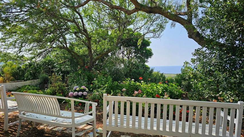 Location de vacances pour 2 personnes, avec vue ainsi que jardin et terrasse, animaux acceptés à Ustica - 3