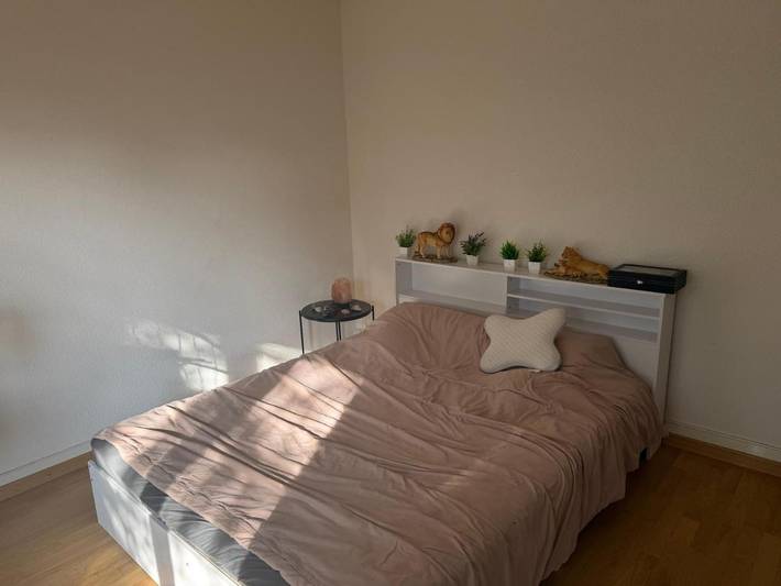 Chambre d’hôte pour 2 personnes, avec vue et terrasse, animaux acceptés à Lausanne