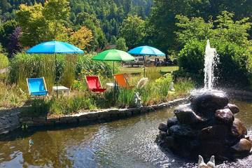 Hütte für 5 Personen, mit Whirlpool und Pool sowie Garten in Baiersbronn
