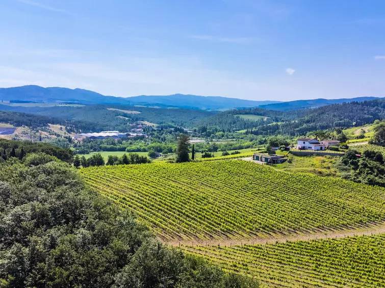Casa 10 persone in San Casciano in Val di Pesa, Chianti