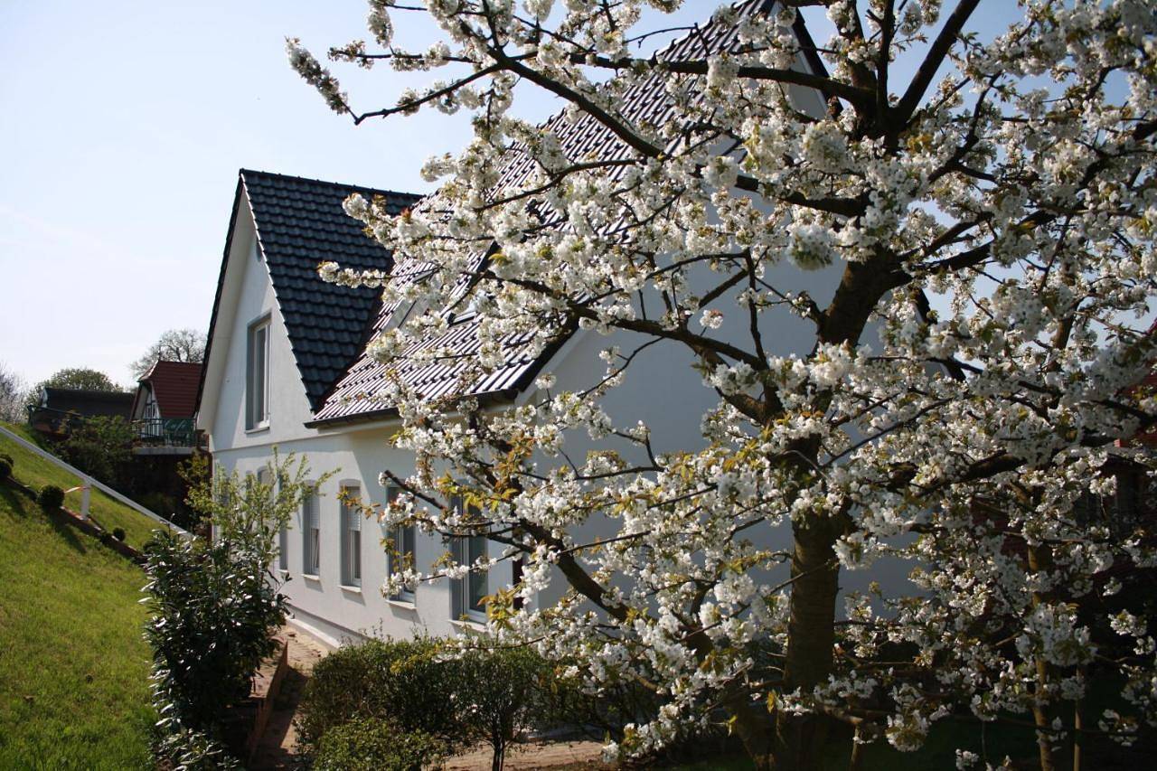 Ganze Wohnung, Fewo Lüheblick im Haus Lühegarten in Grünendeich, Altes Land Stade