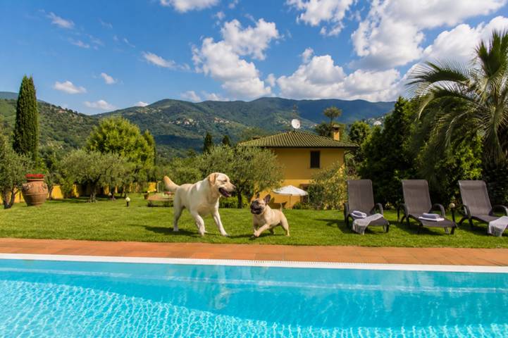 Ferienhaus für 8 Personen, mit Garten und Terrasse, mit Haustier in Lucca - 2