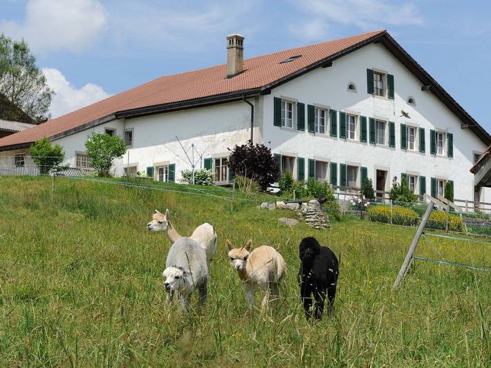 Gîte pour 2 personnes, avec balcon, animaux acceptés dans Canton du Jura - 2