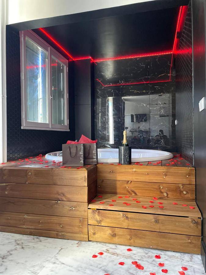 Gîte pour 3 personnes, avec sauna ainsi que jacuzzi et terrasse à Le Blanc-Mesnil - 4