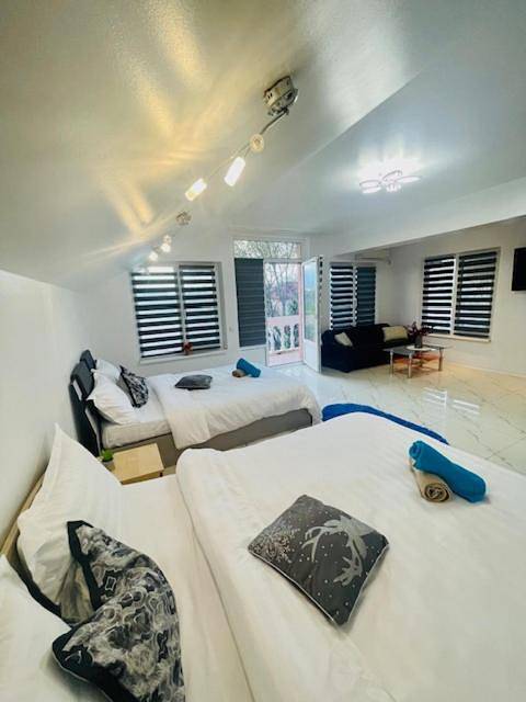 Gîte pour 2 personnes, avec jardin et vue, animaux acceptés dans Giurgiu - 3