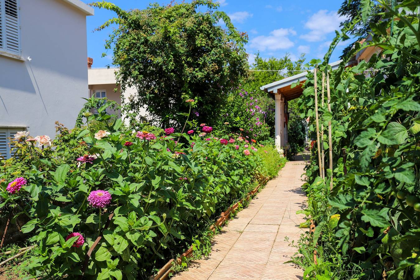 Appartement entier, Appartement de vacances pour 2 personnes avec jardin in Dubrovnik, Grad Dubrovnik