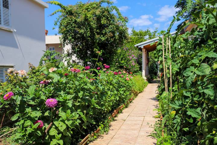 Ferienwohnung für 2 Personen, mit Garten in Dubrovnik - 3