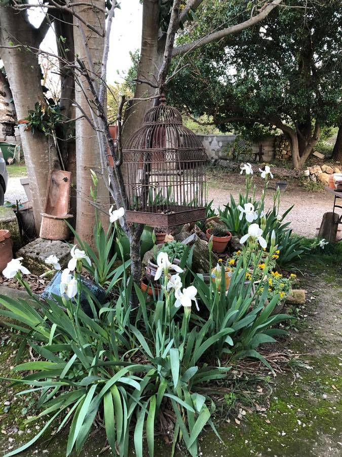 Location de vacances pour 2 personnes, avec jardin et piscine, animaux acceptés à Le Pouget - 2
