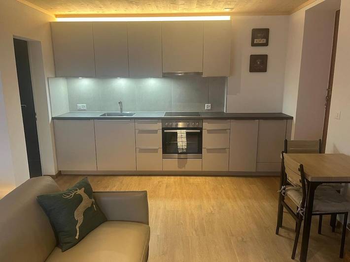 Gîte pour 7 personnes, avec jardin ainsi que terrasse et vue à Habkern - 4