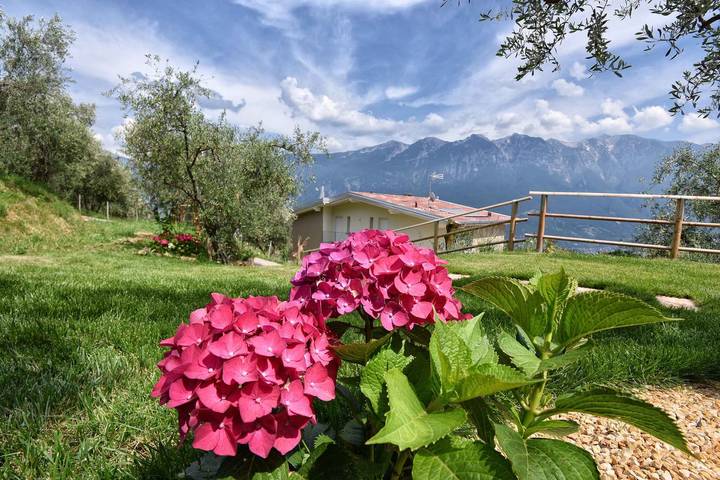 Appartamento intero, Appartamento con vista lago in Pieve di Tremosine, Tremosine