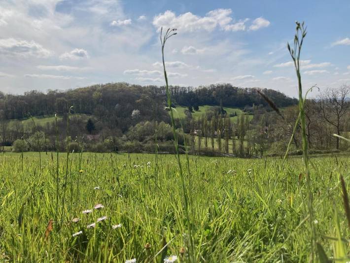Gîte pour 2 personnes, avec jacuzzi ainsi que jardin et terrasse, animaux acceptés à Salies-de-Béarn - 4