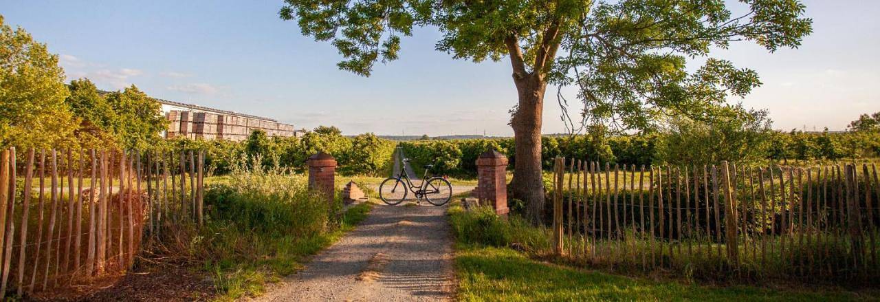 Ferienhaus für 3 Personen, mit Garten in Jork - 2