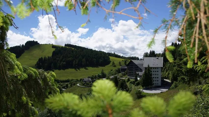 Ferienhaus für 6 Personen, mit Sauna und Terrasse sowie Pool