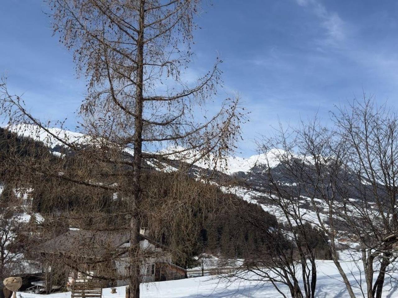 Ganze Ferienwohnung, Cadras 14 - 3.5 Zimmerwohnung - 6 Betten in Tinzen, Surses