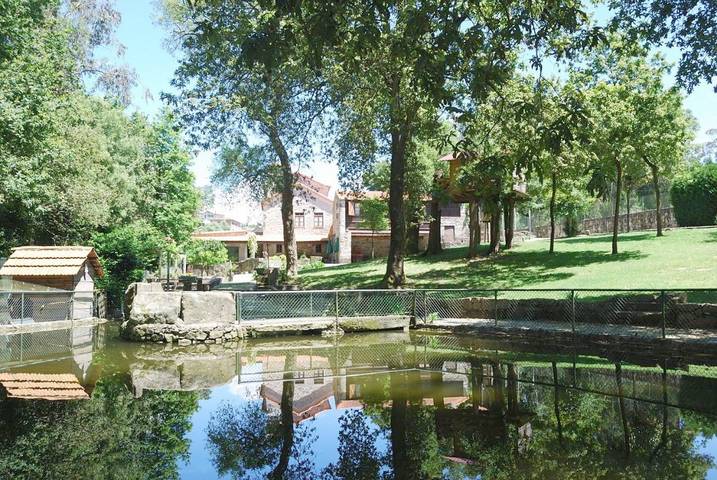 Casa rural para 3 pessoas, com Varanda e Terraço e ainda Jardim and Piscina em Sever do Vouga