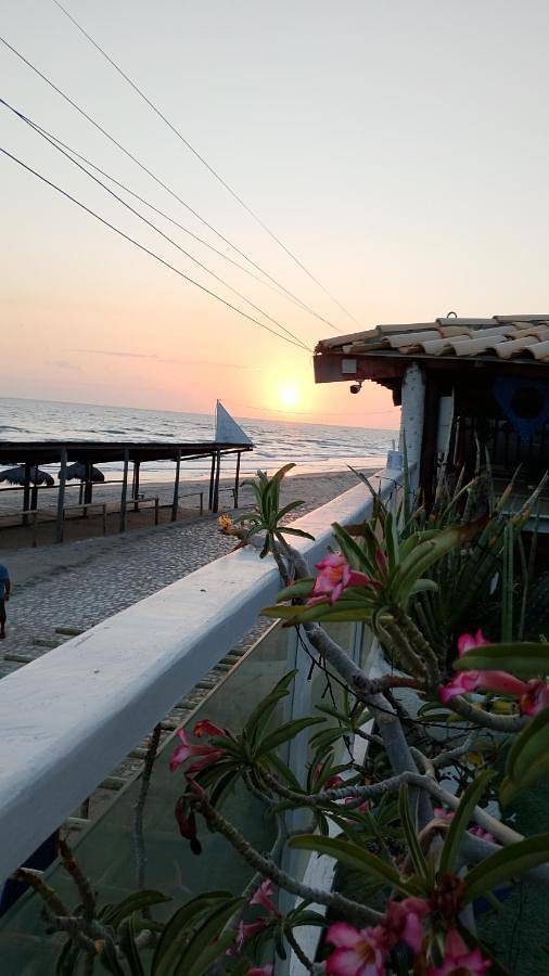 Hôtel pour 4 personnes, avec terrasse et piscine, animaux acceptés à Areia Branca