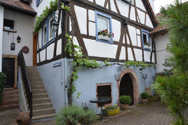 Ferienhaus für 4 Personen, mit Terrasse und Garten im Pfälzer Wald - 2