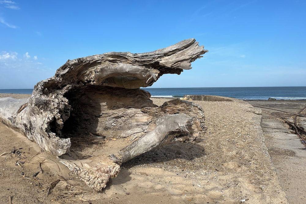 Vacances Bordelaise Proche de L'océan in Eysines, Región de Burdeos