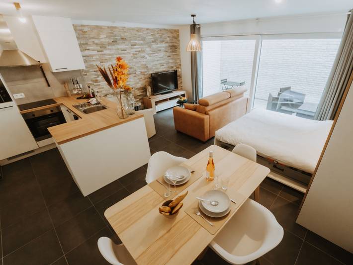 Ferienwohnung für 2 Personen, mit Garten und Terrasse, mit Haustier in Blankenberge - 2