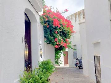 view of accommodation