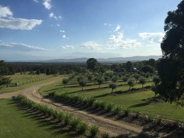 Cottage for 4 People in Lovedale (NSW), Hunter Valley, Photo 4