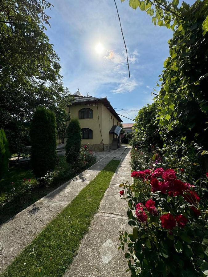 Maison d’hôte pour 2 personnes, avec vue et jardin en Roumanie - 4