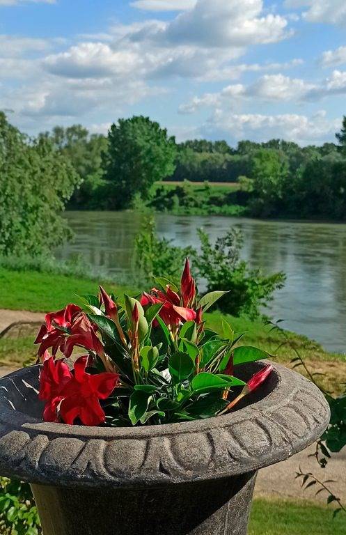 Le Relais de Garonne - Chambre Irène in Bourdelles, Région de Langon