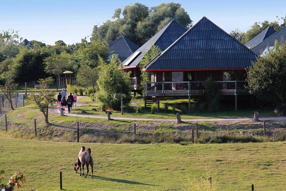 Cerza Safari Lodge in Hermival-les-Vaux, Région de Lisieux