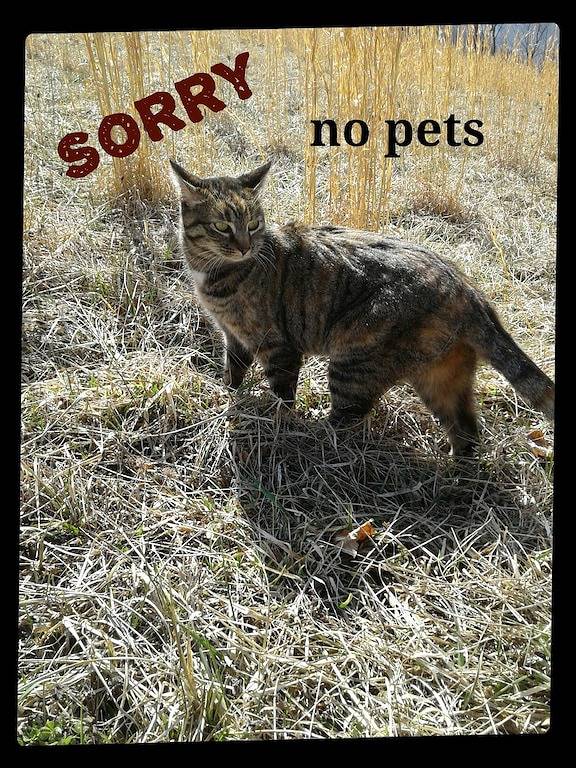 Wirtschaft ohne Opfer in Seneca Rocks