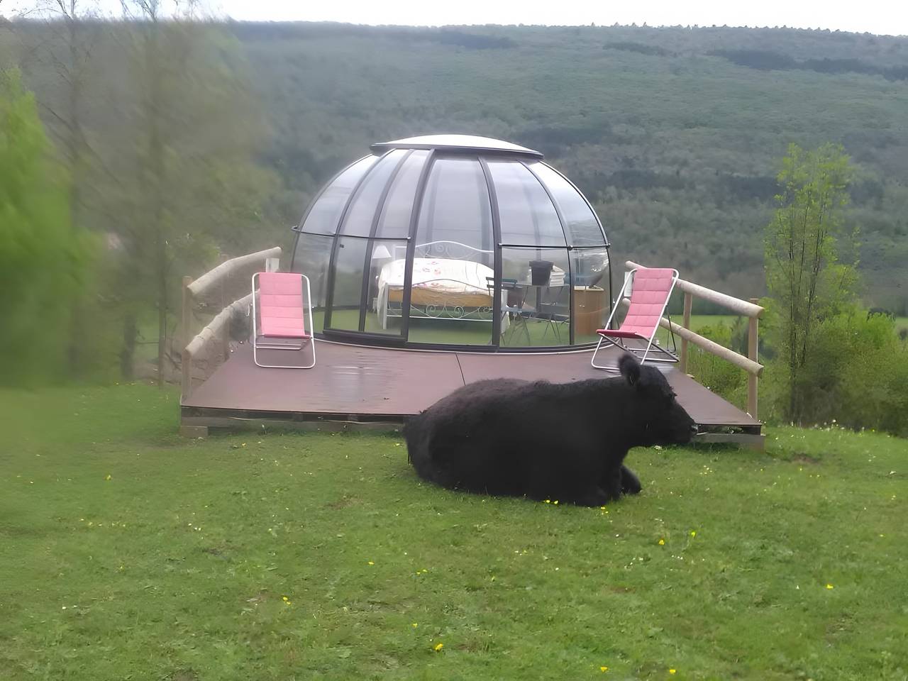 Cabane « Nuit Insolite en Dôme Vitré » : Vue Montagne, Terrasse Privée, Jardin Partagé in Bélesta (Midi-Pyrénées), Ariège