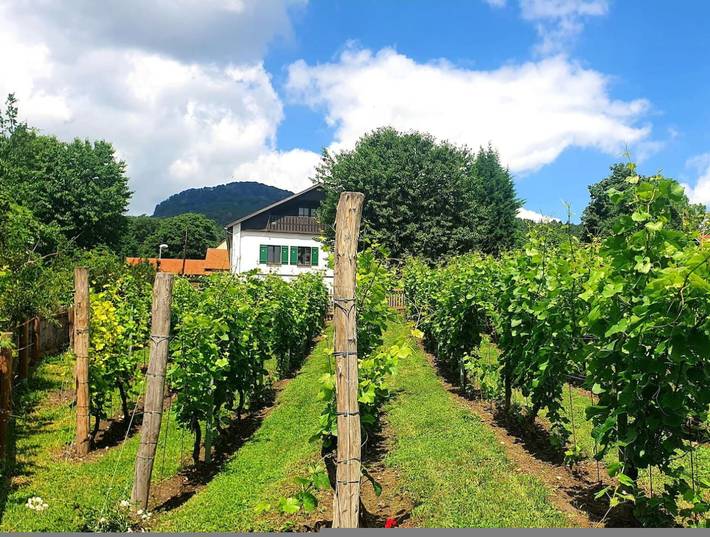 Ferienwohnung für 8 Personen, mit Garten und Pool, mit Haustier - 1