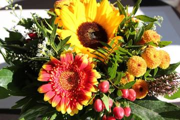 Ferienwohnung für 4 Personen in Kellenhusen, Südliche Ostseeküste, Bild 4