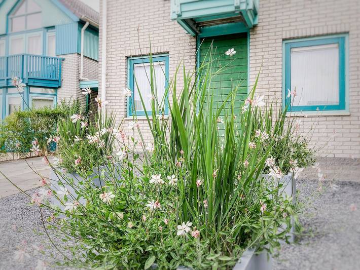 Ferienhaus mit Meerblick für 6 Personen, mit Balkon/Terrasse und Balkon in Zeeland - 2