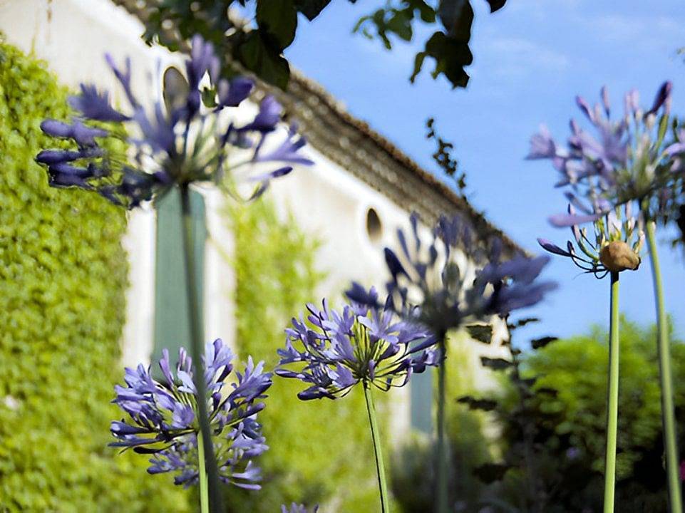 Le Mûrier, chez Odette - Chambre Rez-de-jardin in Saint-Marcel-lès-Sauzet, Région de nyons